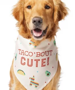 Frisco Taco 'Bout Cute Dog & Cat Bandana -Frisco Sales 2024 249287 PT2. SY630 V1637727457