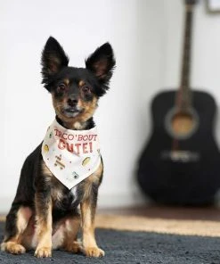 Frisco Taco 'Bout Cute Dog & Cat Bandana -Frisco Sales 2024 249287 PT4. SY630 V1637677700