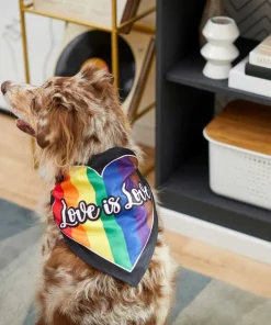 Frisco Love is Love Heart Dog & Cat Bandana 12 Frisco Love is Love Heart Dog & Cat Bandana -Frisco Sales 2024 249289 PT4. SY630 V1637686392