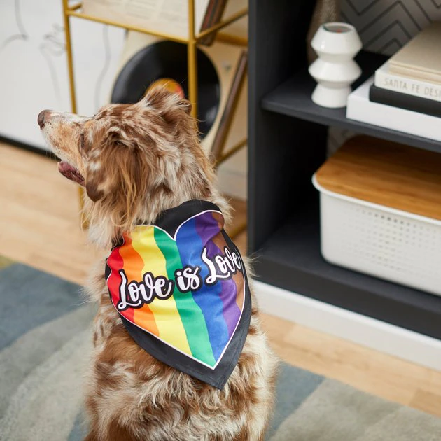 Frisco Love is Love Heart Dog & Cat Bandana 8 Frisco Love is Love Heart Dog & Cat Bandana - Image 6