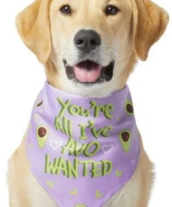 Frisco You're All I've Avo Wanted Dog & Cat Bandana -Frisco Sales 2024 249292 PT2. SY630 V1637723806