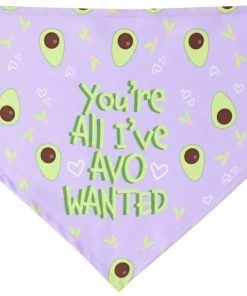 Frisco You're All I've Avo Wanted Dog & Cat Bandana -Frisco Sales 2024 249292 PT3. SY630 V1637705814
