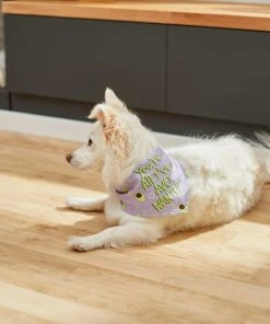 Frisco You're All I've Avo Wanted Dog & Cat Bandana -Frisco Sales 2024 249292 PT4. SY630 V1637644623