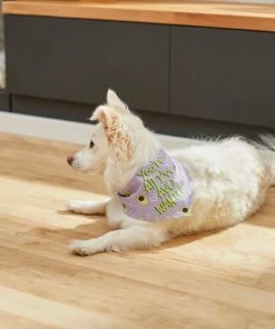 Frisco You're All I've Avo Wanted Dog & Cat Bandana -Frisco Sales 2024 249292 PT5. SY630 V1614657706