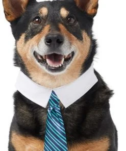 Frisco Stripes Dog & Cat Neck Tie
