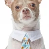 Frisco Brunch Dog & Cat Neck Tie -Frisco Sales 2024 249305 MAIN. SY630 V1614274894