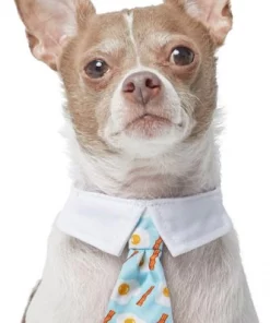 Frisco Brunch Dog & Cat Neck Tie