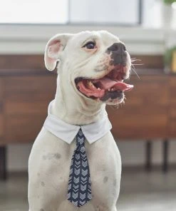 Frisco Boho Dog & Cat Neck Tie -Frisco Sales 2024 249307 PT7. SY630 V1614274626