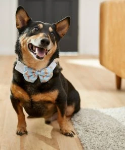 Frisco Nautical Anchor Dog & Cat Bow Tie 9 Frisco Nautical Anchor Dog & Cat Bow Tie -Frisco Sales 2024 249322 PT7. SY630 V1614274594