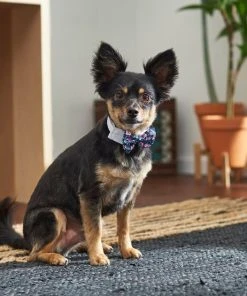 Frisco Floral Dog & Cat Bow Tie -Frisco Sales 2024 249325 PT7. SY630 V1614275023