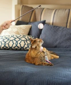 Frisco Baseball Teaser Cat Toy 7 Frisco Baseball Teaser Cat Toy -Frisco Sales 2024 252736 PT5. SY630 V1615814597