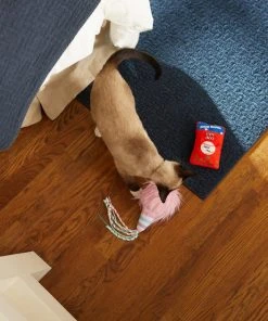 Frisco Baseball Snacks Cat Toy, 2 count 9 Frisco Baseball Snacks Cat Toy, 2 count -Frisco Sales 2024 252738 PT5. SY630 V1615814603