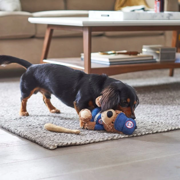 Frisco Baseball Bear Plush Squeaky Dog Toy, Blue 6 Frisco Baseball Bear Plush Squeaky Dog Toy, Blue - Image 4