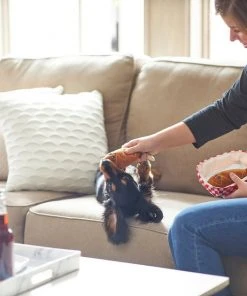 Frisco Baseball Hide-and-Seek Corndog Dog Toy -Frisco Sales 2024 252746 PT5. SY630 V1615814528