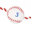 Frisco Baseball Plush with Rope Dog Toy -Frisco Sales 2024 252752 MAIN. SY630 V1613158294