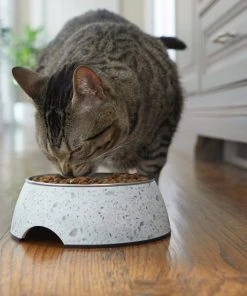 Frisco Quartz Design Stainless Steel Dog & Cat Bowl 12 Frisco Quartz Design Stainless Steel Dog & Cat Bowl -Frisco Sales 2024 253042 PT2. SY630 V1616594192