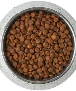 Frisco Quartz Design Stainless Steel Dog & Cat Bowl 15 Frisco Quartz Design Stainless Steel Dog & Cat Bowl -Frisco Sales 2024 253042 PT5. SY630 V1616526809