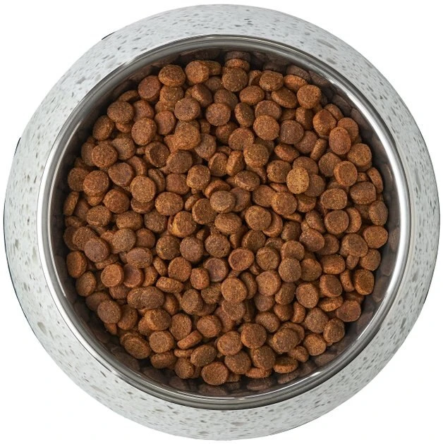 Frisco Quartz Design Stainless Steel Dog & Cat Bowl 8 Frisco Quartz Design Stainless Steel Dog & Cat Bowl - Image 6