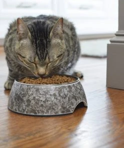 Frisco Black Marble Design Stainless Steel Dog & Cat Bowl 12 Frisco Black Marble Design Stainless Steel Dog & Cat Bowl -Frisco Sales 2024 253046 PT2. SY630 V1616599598