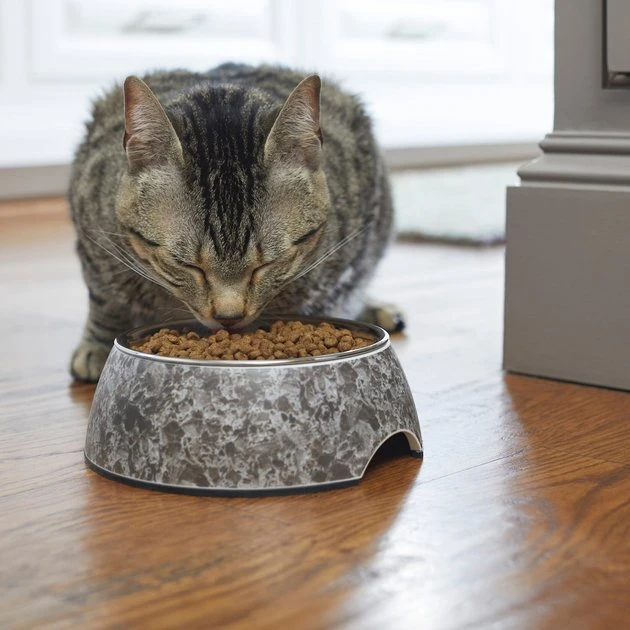 Frisco Black Marble Design Stainless Steel Dog & Cat Bowl 5 Frisco Black Marble Design Stainless Steel Dog & Cat Bowl - Image 3