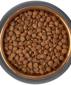 Frisco Matte Black Design Light Copper Stainless Steel Dog & Cat Bowl -Frisco Sales 2024 253050 PT5. SY630 V1616526818
