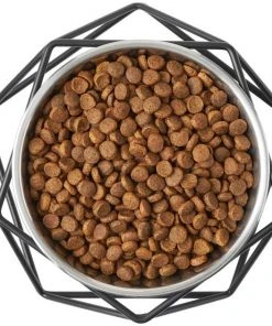 Frisco Elevated Stainless Steel Dog & Cat Bowl with Metal Stand -Frisco Sales 2024 253054 PT5. SY630 V1616595535