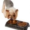 Frisco Copper Stainless Steel Double Dog & Cat Bowls with Black Marble Stand, 0.75 Cups