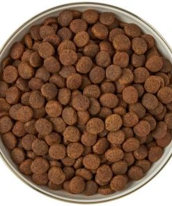 Frisco Gold Trim Melamine Dog & Cat Bowl, Cream -Frisco Sales 2024 253062 PT5. SY630 V1616595396