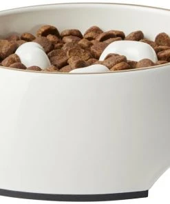 Frisco Melamine Slow Feed Dog & Cat Bowl with Gold Trim, Cream -Frisco Sales 2024 253067 PT3. SY630 V1615312295