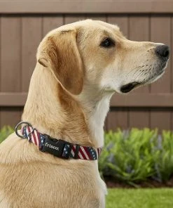 Frisco American Flag Dog Leash & Frisco American Flag Dog Collar -Frisco Sales 2024 255453 PT4. SY630 V1602706576