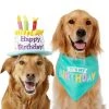 Frisco Birthday Cake Dog & Cat Hat & Frisco Dog & Cat Birthday Bandana -Frisco Sales 2024 255463 MAIN. SY630 V1603716113