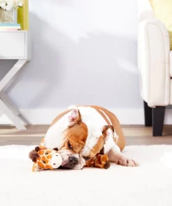 Frisco||True Chews Frisco Bungee Plush Squeaking Giraffe Dog Toy & True Chews Premium Chicken Pot Pie Recipe Dog Treats -Frisco Sales 2024 255467 PT2. SY630 V1604097410