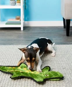 Frisco Flat Plush Squeaking Alligator Dog Toy, Medium & Frisco Flat Plush Squeaking Raccoon Dog Toy, Medium -Frisco Sales 2024 255471 PT2. SY630 V1602691584