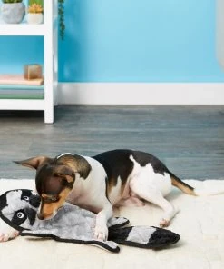 Frisco Flat Plush Squeaking Alligator Dog Toy, Medium & Frisco Flat Plush Squeaking Raccoon Dog Toy, Medium -Frisco Sales 2024 255471 PT4. SY630 V1602691287