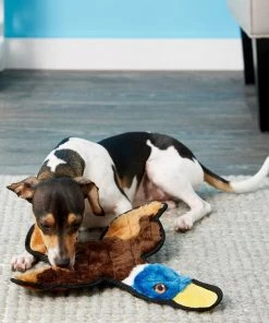 Frisco||Virbac Frisco Flat Plush Squeaking Duck Dog Toy & Virbac C.E.T. Enzymatic Dog & Cat Vanilla-Mint Flavor Toothpaste 10 Frisco||Virbac Frisco Flat Plush Squeaking Duck Dog Toy & Virbac C.E.T. Enzymatic Dog & Cat Vanilla-Mint Flavor Toothpaste -Frisco Sales 2024 255473 PT2. SY630 V1616428593