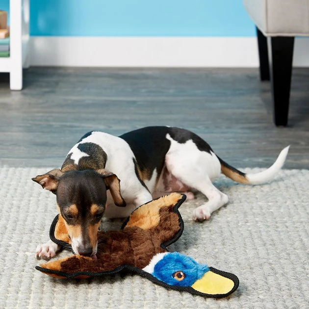 Frisco||Virbac Frisco Flat Plush Squeaking Duck Dog Toy & Virbac C.E.T. Enzymatic Dog & Cat Vanilla-Mint Flavor Toothpaste 5 Frisco||Virbac Frisco Flat Plush Squeaking Duck Dog Toy & Virbac C.E.T. Enzymatic Dog & Cat Vanilla-Mint Flavor Toothpaste - Image 3