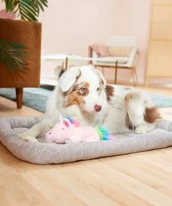 Frisco Fold & Carry Double Door Collapsible Wire Dog Crate, 36 inch & Frisco Gray Basket Weave Dog Crate Mat, 36-in -Frisco Sales 2024 255481 PT4. SY630 V1604078441