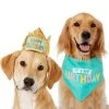 Frisco Happy Birthday Dog & Cat Crown & Frisco Dog & Cat Birthday Bandana, One Size -Frisco Sales 2024 255521 MAIN. SY630 V1603716088