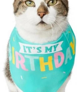 Frisco Happy Birthday Dog & Cat Crown & Frisco Dog & Cat Birthday Bandana, One Size -Frisco Sales 2024 255521 PT4. SY630 V1603716122