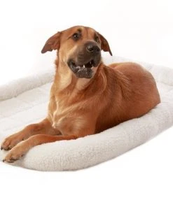 Frisco Heavy Duty Fold & Carry Single Door Collapsible Wire Dog Crate & Frisco Quilted Dog Crate Mat, Ivory -Frisco Sales 2024 255555 PT4. SY630 V1603545106