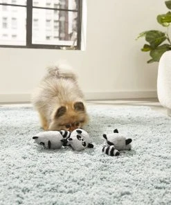 Frisco Hide & Seek Plush Trash Can Puzzle Dog Toy & Frisco Hide & Seek Raccoon Dog Toy Refills, 3-pack -Frisco Sales 2024 255563 PT4. SY630 V1602702370