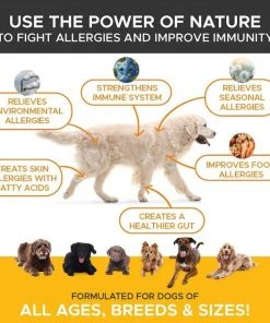 Frisco||PetHonesty Frisco Hypoallergenic Grooming Wipes with Organic Aloe for Dogs & Cats, Unscented & PetHonesty Allergy Relief Snacks Immunity Strength & Digestive Health Soft Chews Dog Supplement -Frisco Sales 2024 255569 PT4. SY630 V1603545416