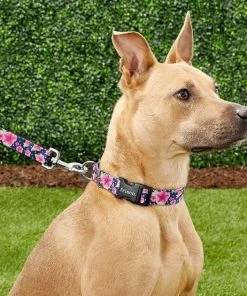 Frisco Midnight Floral Dog Leash & Frisco Midnight Floral Dog Collar -Frisco Sales 2024 255571 PT2. SY630 V1603545417
