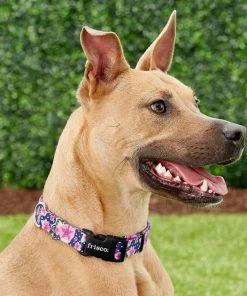 Frisco Midnight Floral Dog Leash & Frisco Midnight Floral Dog Collar -Frisco Sales 2024 255571 PT4. SY630 V1603545402