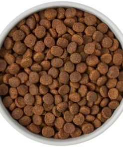 Frisco Ceramic Food Dog & Cat Bowl with Wood Base -Frisco Sales 2024 256042 PT6. SY630 V1615317399