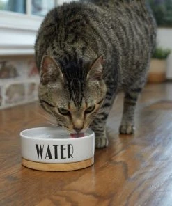 Frisco Ceramic Water Dog & Cat Bowl with Wood Base -Frisco Sales 2024 256046 PT2. SY630 V1616167029