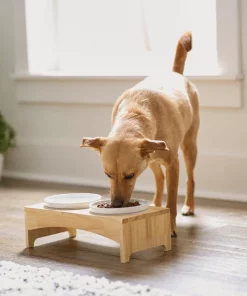 Frisco Ceramic Dog & Cat Double Diner with Elevated Wood Stand, 1.87 Cups -Frisco Sales 2024 256052 PT2. SY630 V1615311142