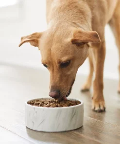 Frisco Marble Design Non-skid Ceramic Dog & Cat Bowl -Frisco Sales 2024 256056 PT2. SY630 V1615313589