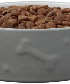 Frisco Bones Non-skid Ceramic Dog & Cat Bowl, Gray -Frisco Sales 2024 256063 PT3. SY630 V1616508727