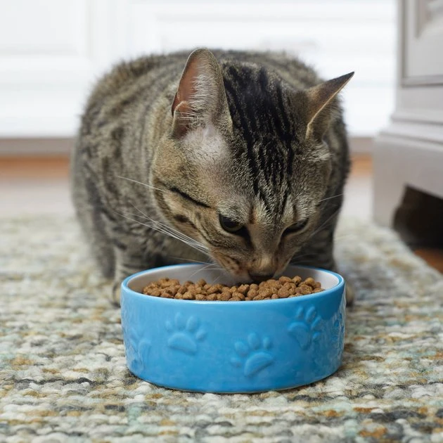 Frisco Paw Prints Non-skid Ceramic Dog & Cat Bowl, Blue 5 Frisco Paw Prints Non-skid Ceramic Dog & Cat Bowl, Blue - Image 3